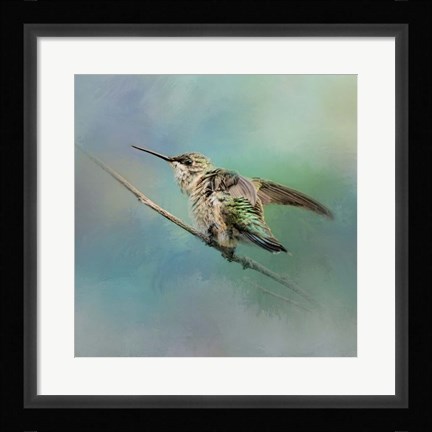 Framed Hummingbird On Mint Print