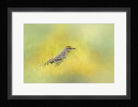 Framed Welcome New Friend Print