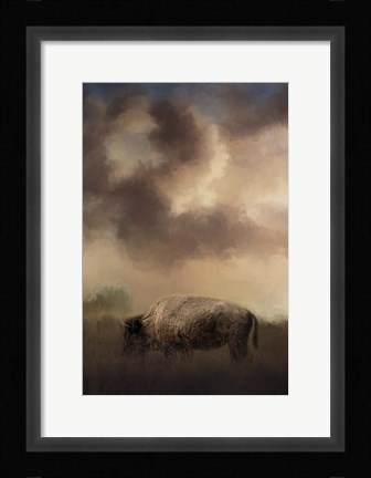 Framed Bison Grazing At Sunrise Print