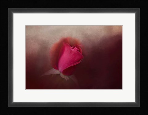 Framed First Red Rose Print