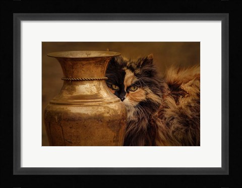 Framed Behind The Antique Vase Print