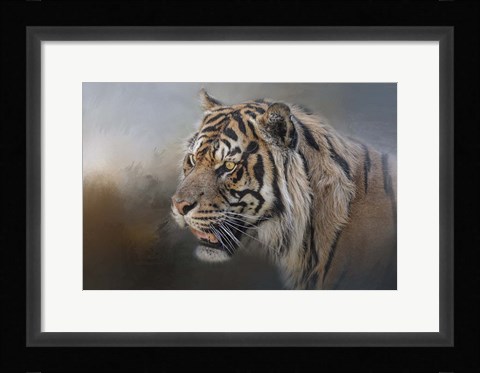 Framed Alert Bengal Print