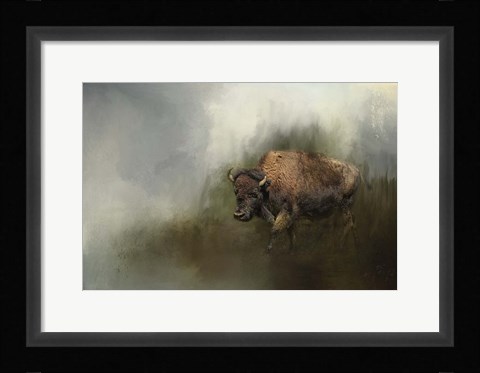 Framed Bison After The Mud Bath Print