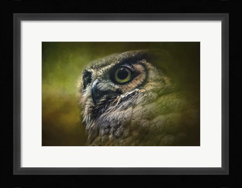Framed Great Horned Owl In The Grove Print
