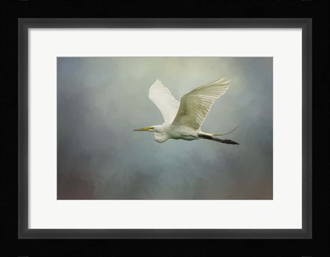 Framed Sea Flight Print