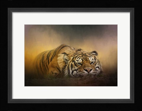 Framed Tiger Awakens Print
