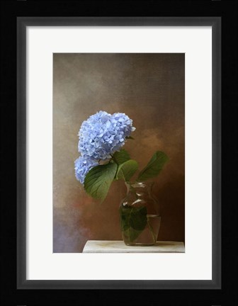 Framed Blue Hydrangea In A Vase Print