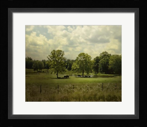 Framed Cattle Pond In Summer Print
