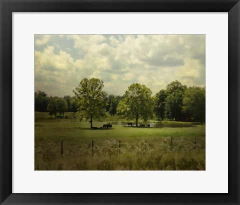 Framed Cattle Pond In Summer Print