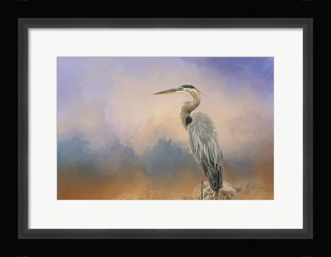 Framed Heron On The Rocks Print