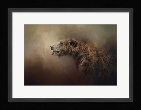 Framed Morning Grizzly Print