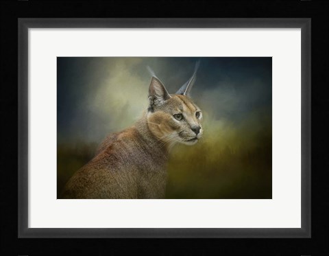 Framed Tufted Ears Print