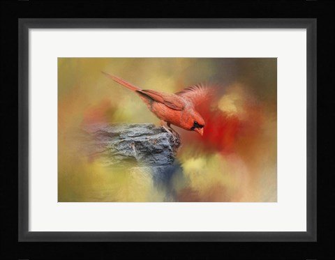 Framed Dive In Print