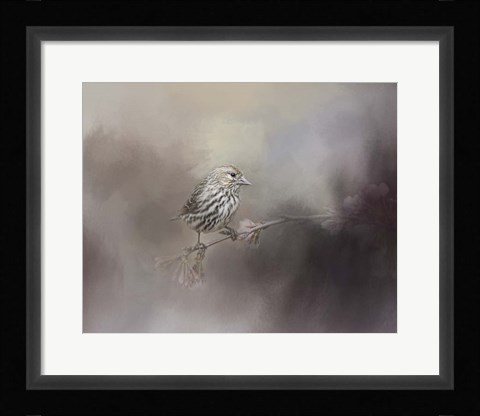 Framed Just A Whisper of Feathers Print