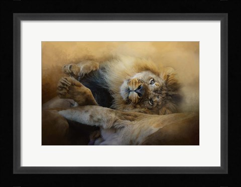 Framed Lion Love 2 Print