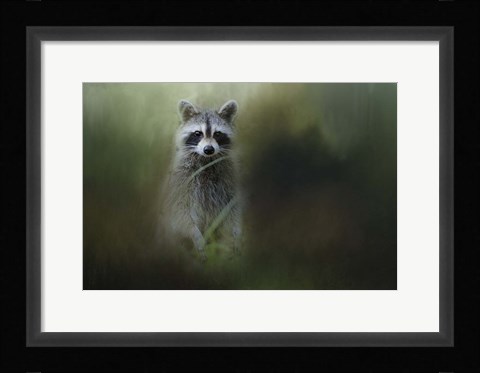 Framed Little Bandit Print