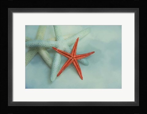 Framed Ocean Treasures Print
