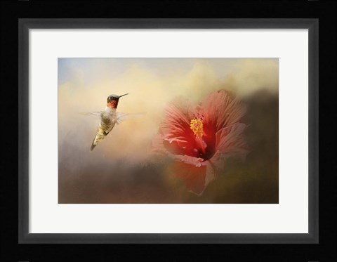 Framed Romancing The Hibiscus Print