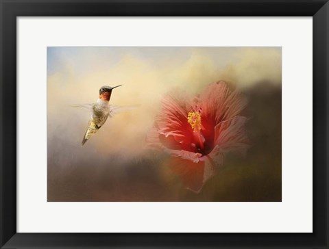 Framed Romancing The Hibiscus Print