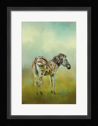 Framed Summer Zebra 1 Print