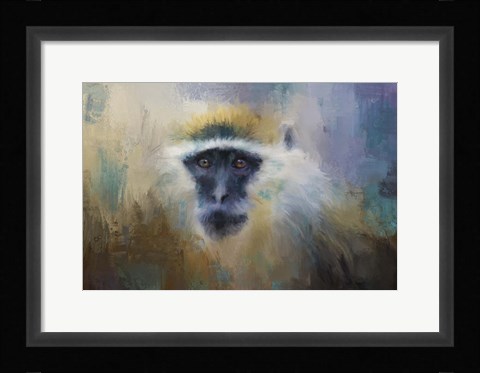 Framed African Grivet Monkey Print