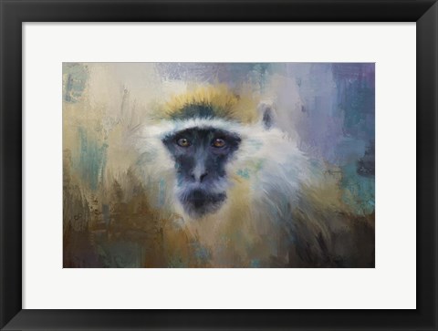 Framed African Grivet Monkey Print
