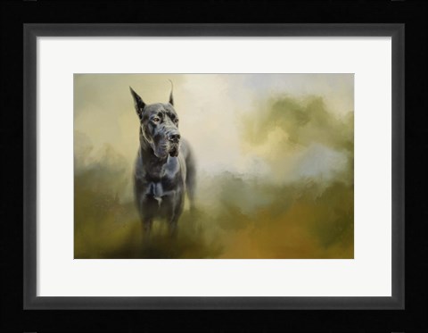 Framed Wistful Dane Print