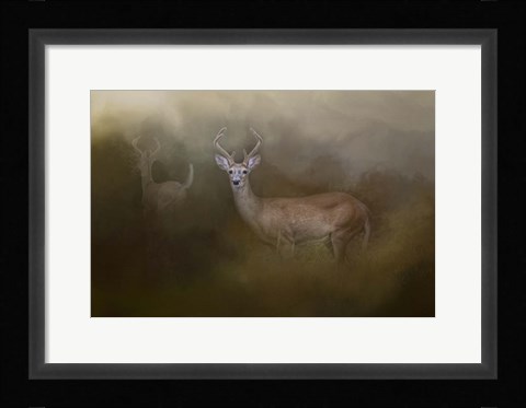 Framed Bucks In August Print