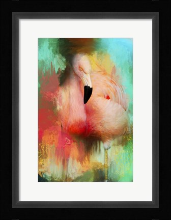 Framed Colorful Expressions Flamingo Print