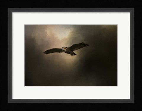 Framed Night of The Owl 2 Print
