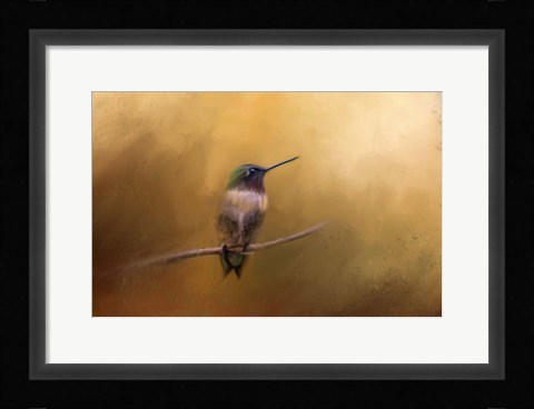 Framed Hummingbird in Autumn Print