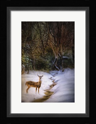 Framed Buck At Snowy Creek Print