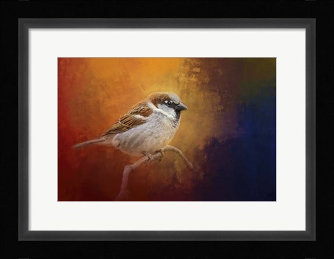 Framed Autumn Sparrow Print