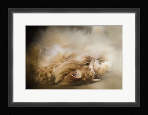 Framed Upside Down Print