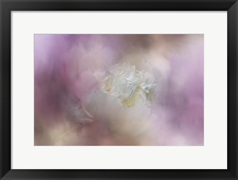 Framed White Peony 2 Print
