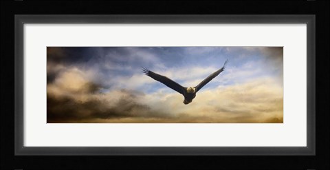 Framed Sunset Flight Print