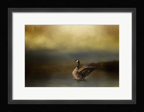 Framed Autumn Afternoon Splash Print