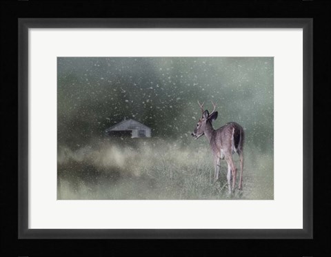 Framed Heading Home In The First Snow Print