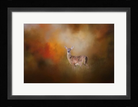 Framed Illuminated By The Autumn Light Print