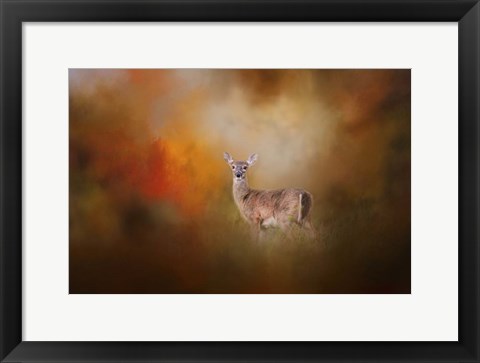 Framed Illuminated By The Autumn Light Print