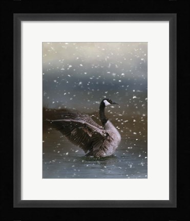 Framed Snowy Swim Print