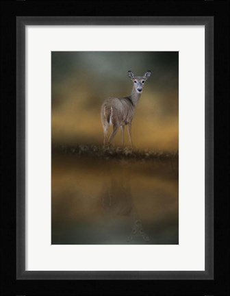 Framed Sunrise At The Pond Print