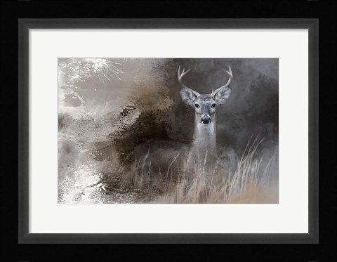 Framed Buck In The Shadows Print