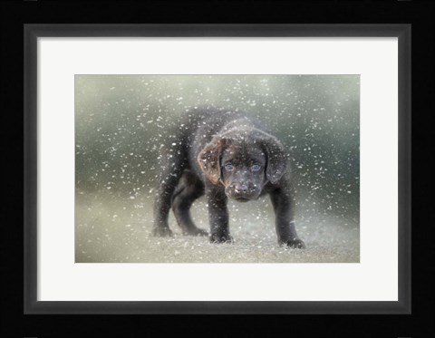 Framed Her First Snow Print