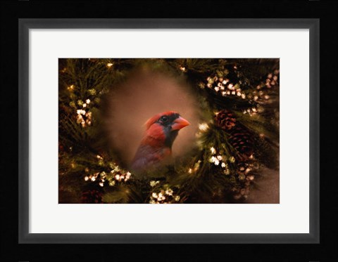 Framed Resting In The Wreath Print
