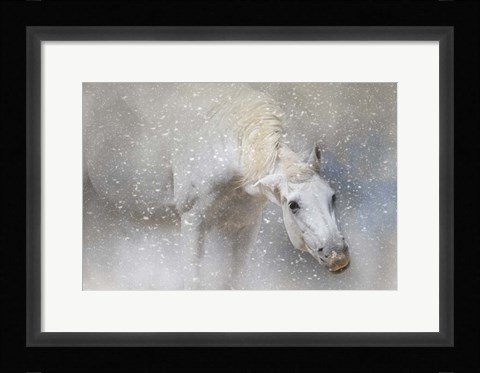 Framed Snow Tickle Print