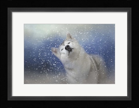 Framed My Favorite Thing About Winter Print