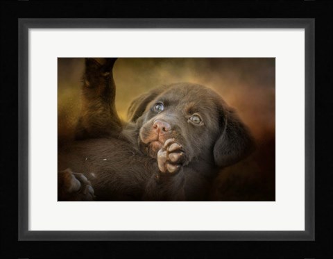 Framed Welcoming The Sun Print