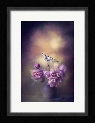 Framed Finch And The Flowers Print