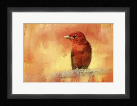 Framed Summer Red Print